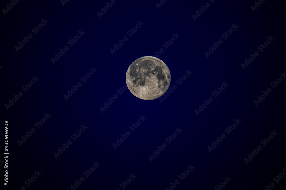 Obraz premium full moon in the sky