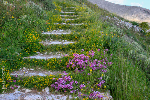 Stone stairs leading up in Ancient Thera on Messavouno mountain with purple flowers, Santorini, Greece