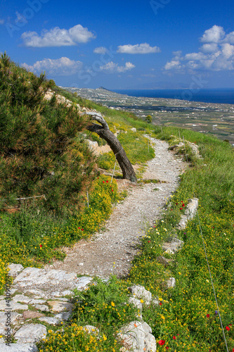 Footpath with bent tree in Ancient Thera on Messavouno mountain with cityscape in background, Santorini, Greece  photo