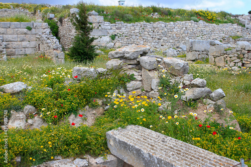 Stone ruins of Ancient Thera on Messavouno mountain with blue sky, Santorini, Greece photo