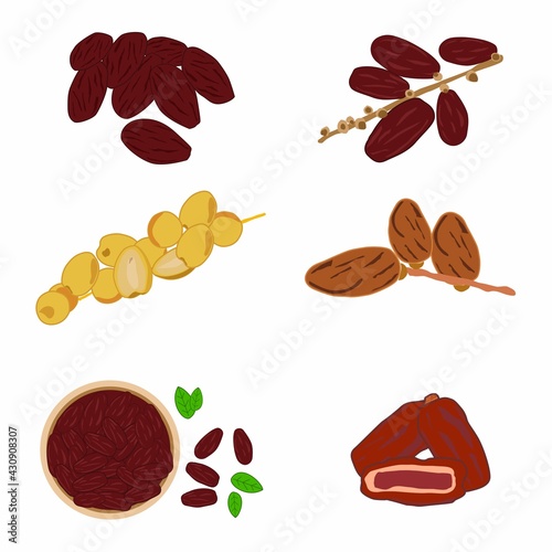 set of Illustration Kurma young arab date fruits ramadan iftar vector compilation. young dates icon