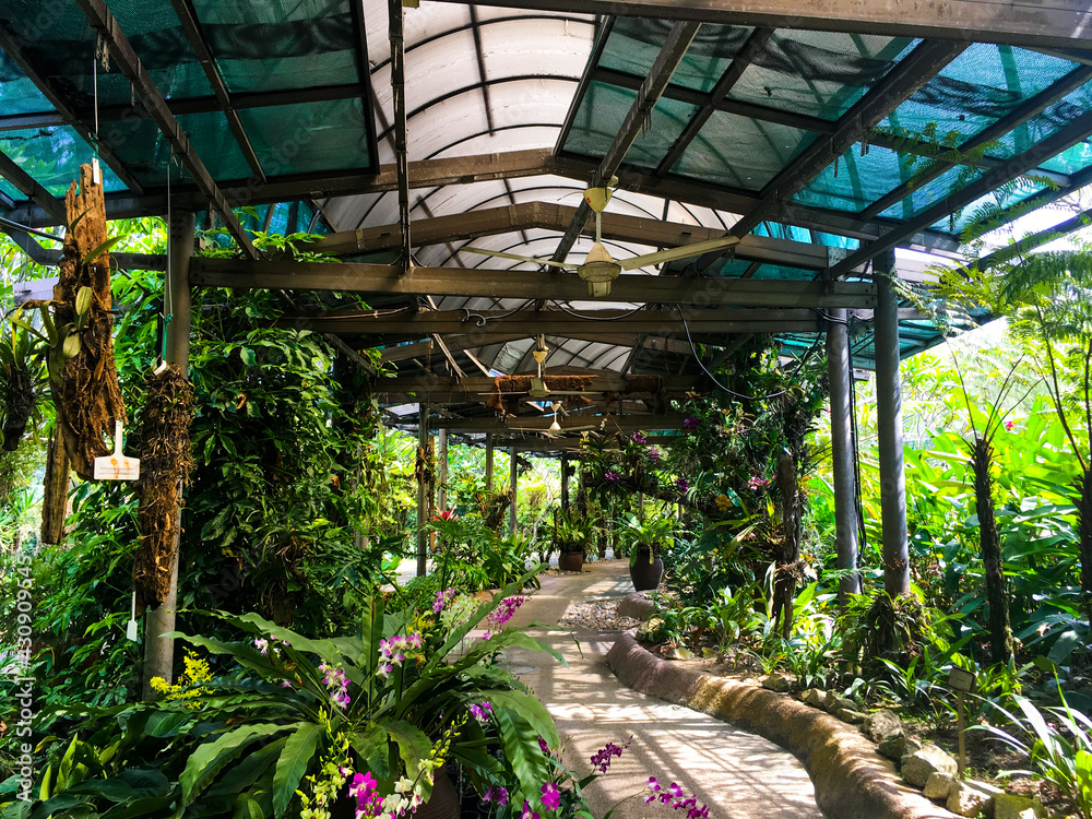 Obraz premium Perdana Botanical Garden, Kuala Lumpur, Malaysia