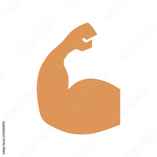 biceps