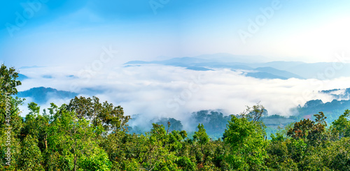 The morning scenery on the hillside in the misty highlands below the beautiful valley © huythoai