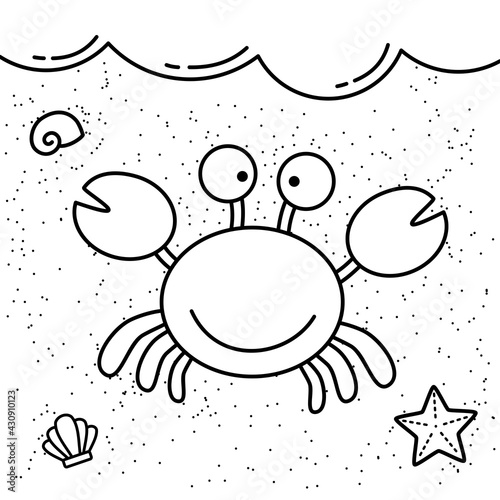 Crab starfish shell hermit crab in the shore drawing book illustration vector