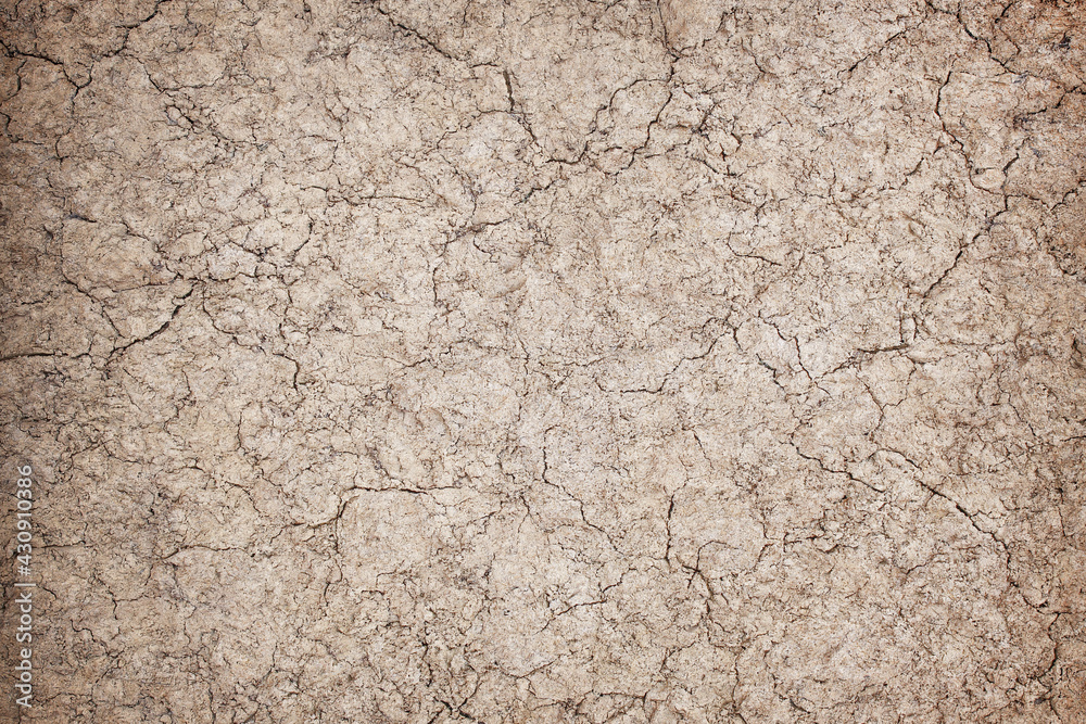 Soil texture of natural background Soil texture of natural background
