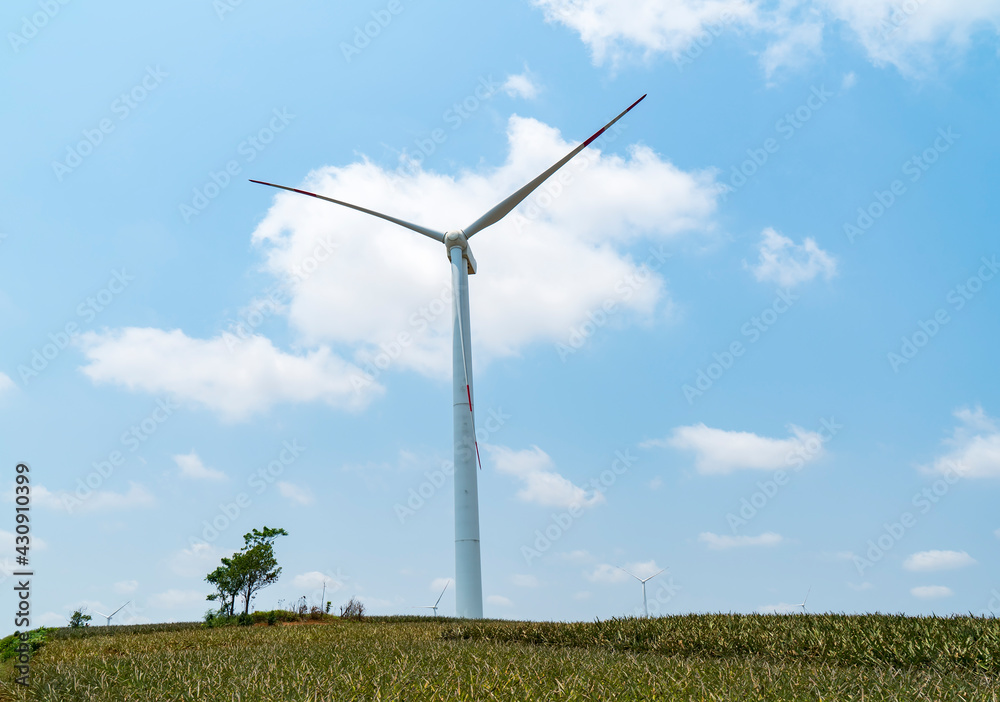 Fototapeta premium Windmills on the field generating electricity