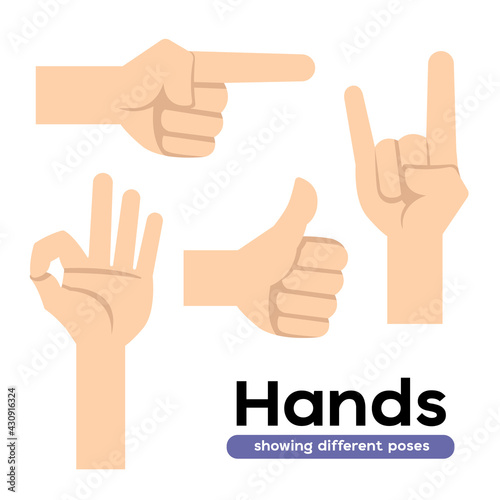 Hands showing different poses for designer