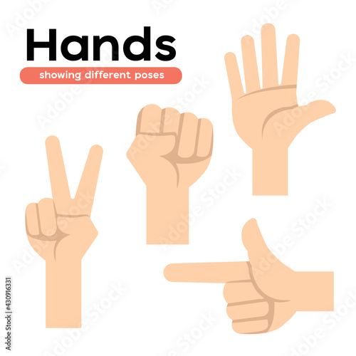Hands showing different poses for designer