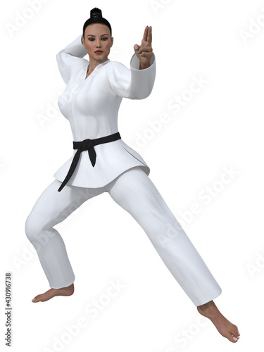 3d illustration of a woman in a karate pose 