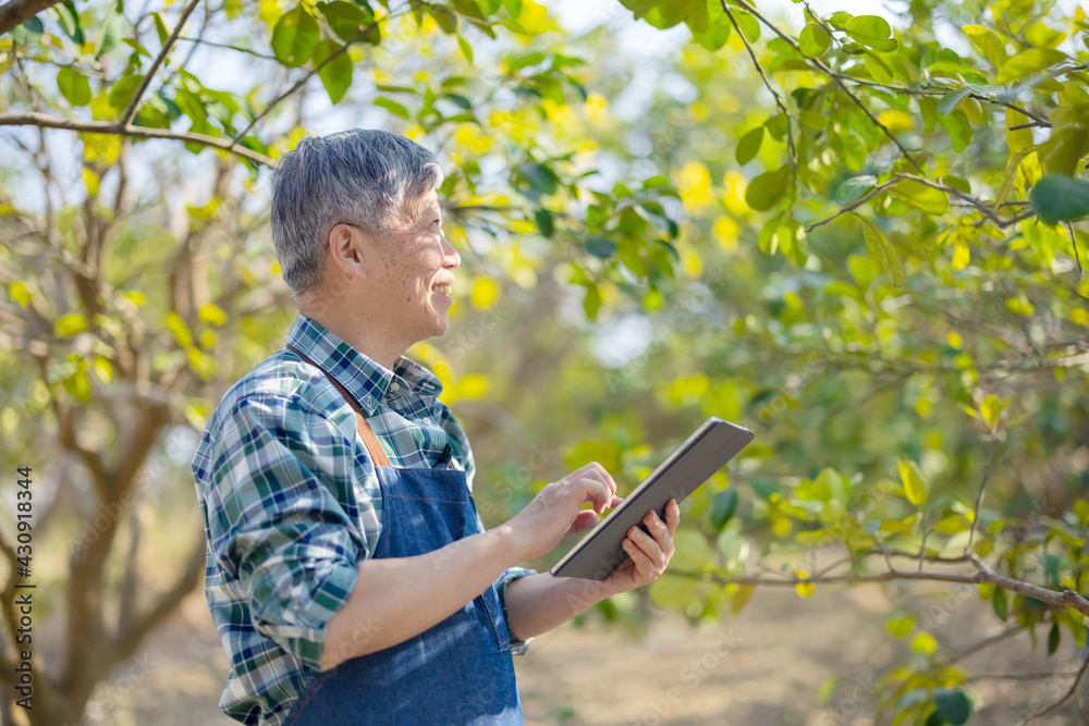 Farmer work with digital tablet