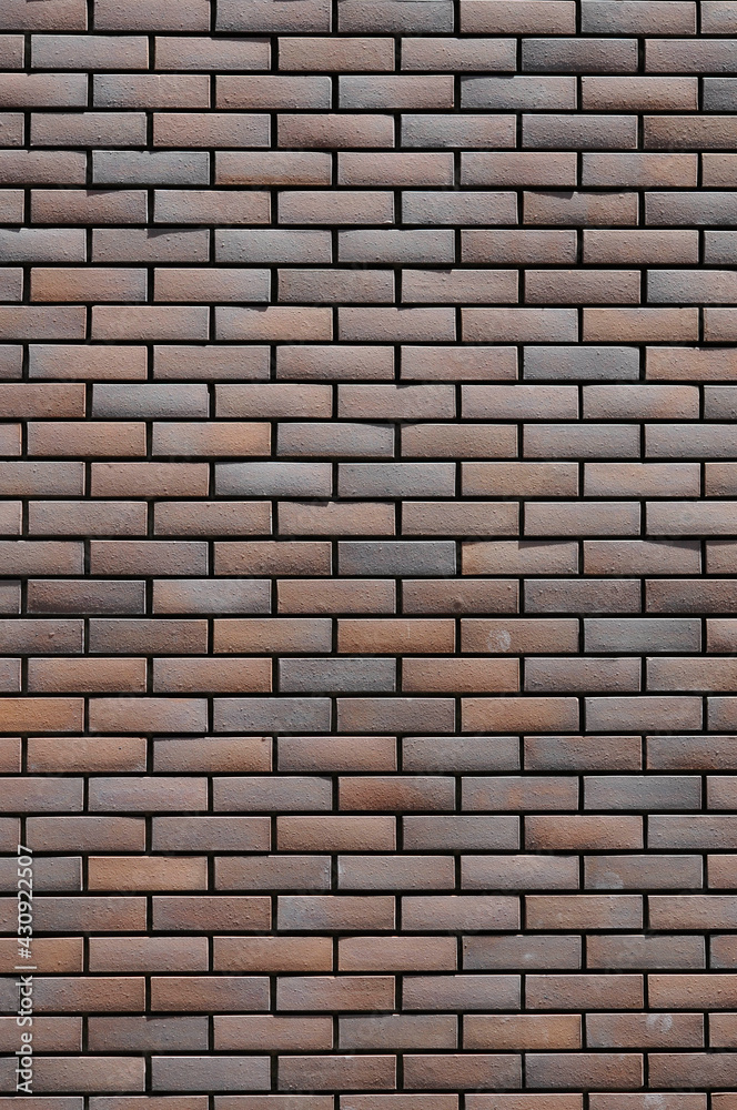Obraz premium 煉瓦の壁