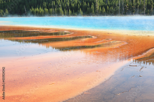 Geyser in Yellowstone National Park, Wyoming, USA