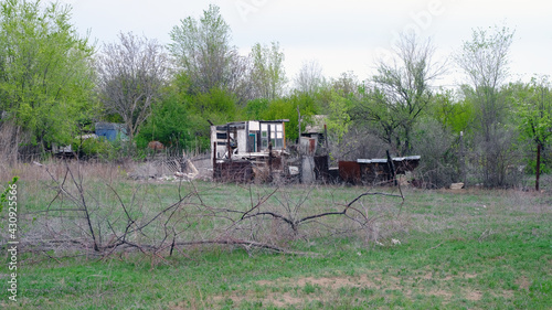 Podobny obraz