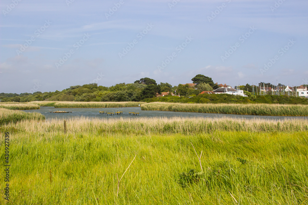 Part of the beautiful Nature Reserve on the mouth of the River Meon in Hampshire England