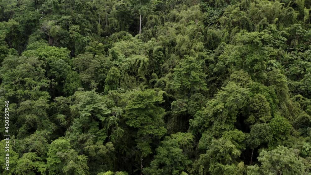 Aerial view flying above lush green tropical rain forest mountain with rain cloud cover during the rainy season on the Doi Phuka Mountain reserved national park Nan province the northern Thailand Aerial view flying above lush green tropical rain forest mountain with rain cloud cover during the rainy season on the Doi Phuka Mountain reserved national park Nan province the northern Thailand
