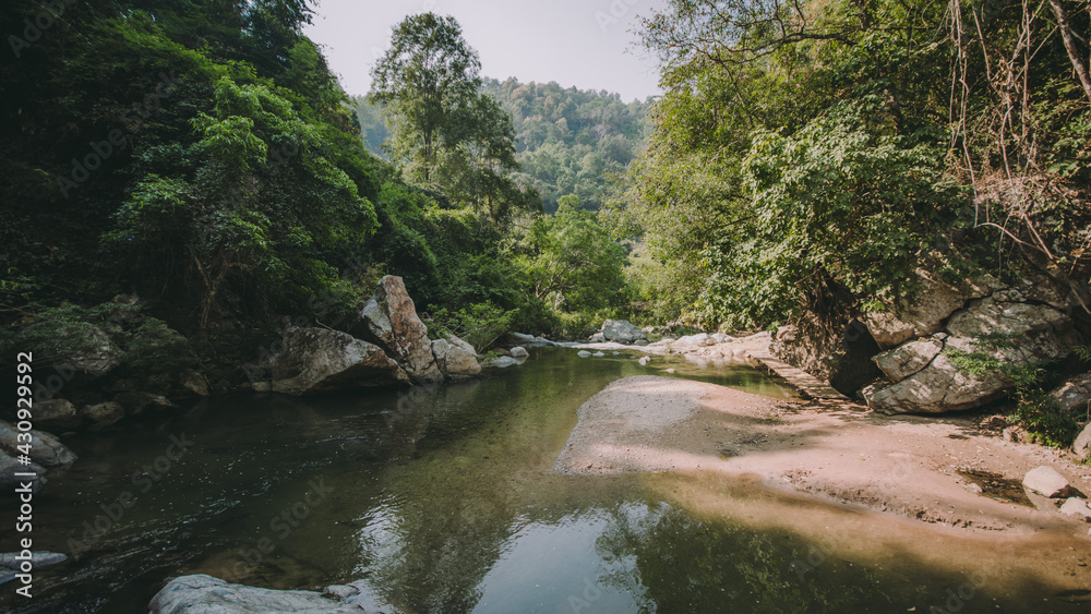 The river runs through the middle of the valley in the forest.
The river runs through the middle of the valley in the forest.