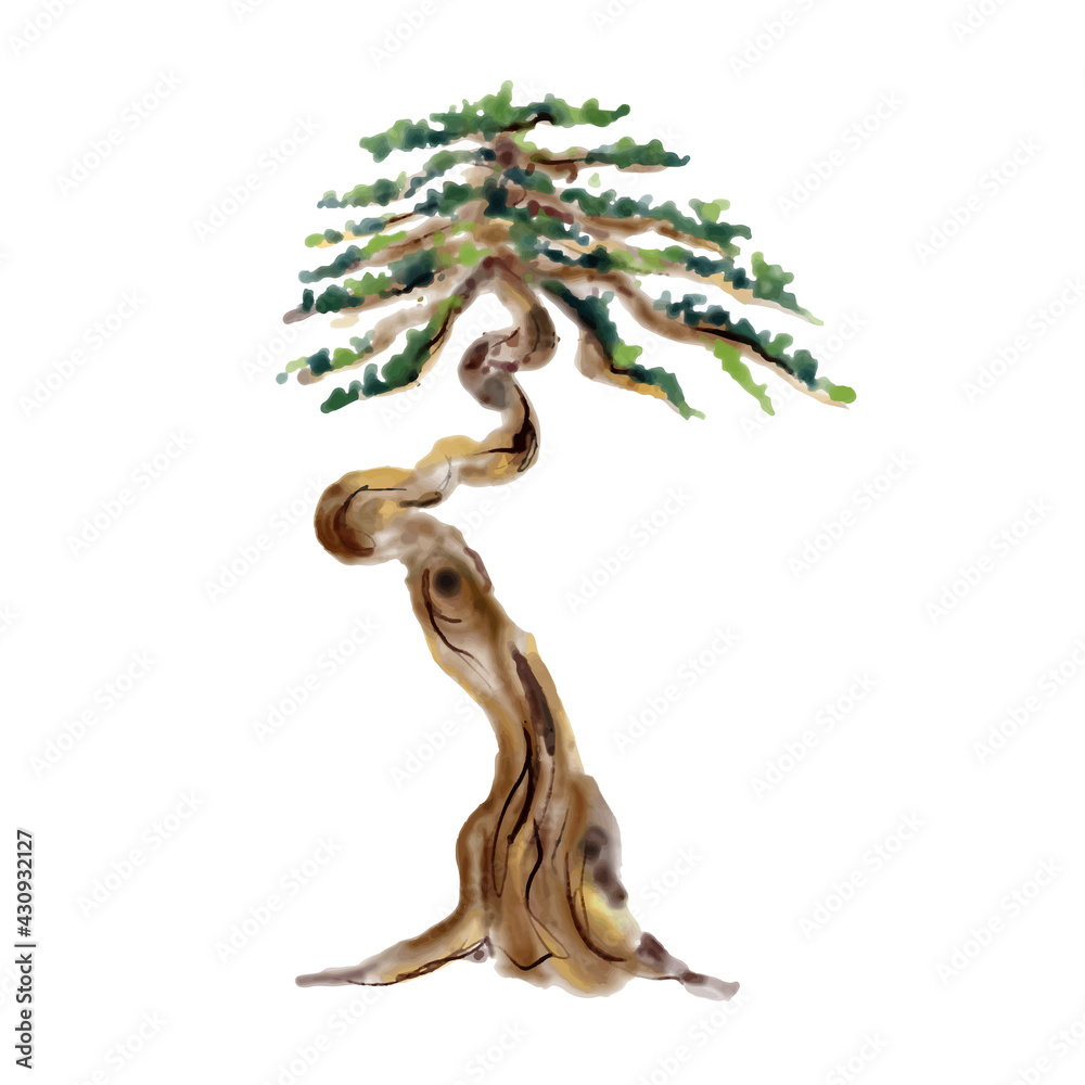 Fototapeta premium Watercolor Tree Bonsai. Hand draw japanese tree. Vector illustrations.