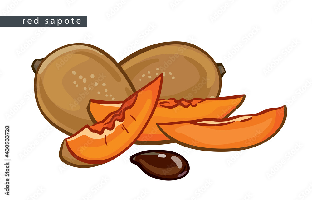 sketch_red_sapote_two_fruits_and_three_slices sketch_red_sapote_two_fruits_and_three_slices