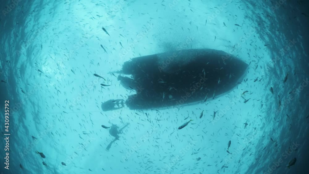 Unique silhouette perspective of a large boat with snorkelers swimming and floating in the clear blue water with masses of schooling fish.