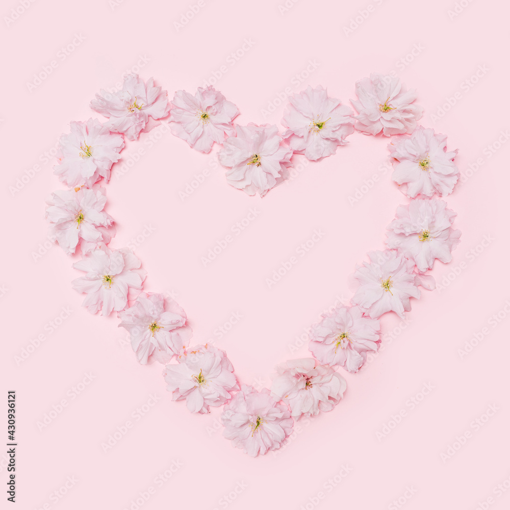 A heart shaped frame created of  Japanese cherry blossom with creative copy space. Flat lay arrangement on the baby pink background.