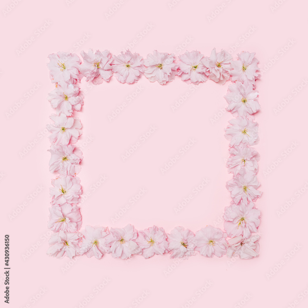 A square shaped frame created of Japanese cherry blossom with creative copy space. Flat lay arrangement on the baby pink background.