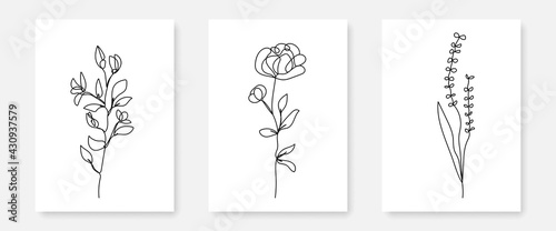Vector Set of Hand Drawn  Line Art Flowers  Leaves  Plants. Continuous Line Flowers  Leaves. Art Floral Elements Set. Good for T-shirt and Wall Art Prints  Logos  Cosmetics. Minimalist Set Of Plants B