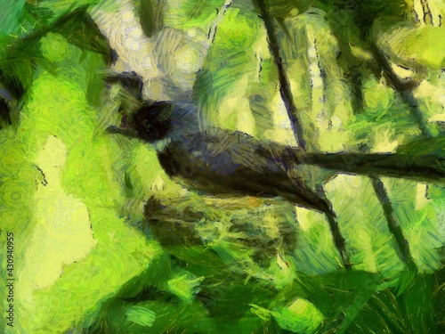 Small magpie  Illustrations creates an impressionist style of painting.