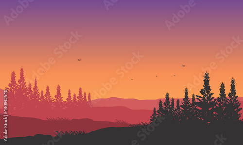 Mountain views with the dramatic forest under a starry sky and full moon. Vector illustration