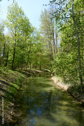 small river tributary of the rhine with crystal clear water in sunshine under a blue sky