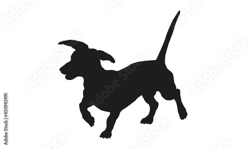 Black dog silhouette. Running dachshund puppy. Isolated on a white background.