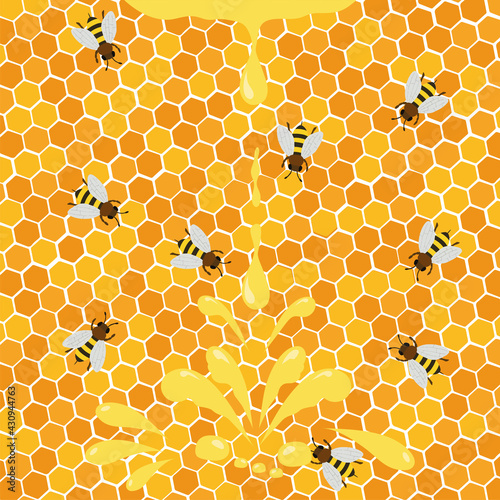 Honey splash dripping sweet drops from bee honeycomb poster for beekeeping honey shop or bakery.
