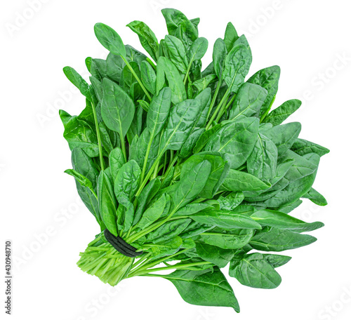Spinach. Bunch of fresh green baby spinach leaves isolated on white background. Top view
