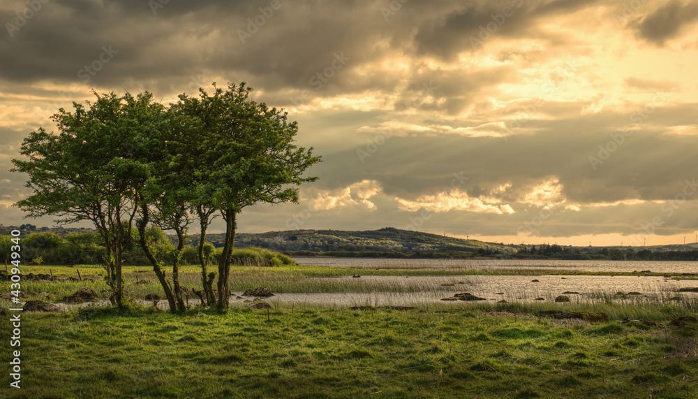 Lonely tree under dramatic cloudy skies over Corrib lake in Galway, Ireland 