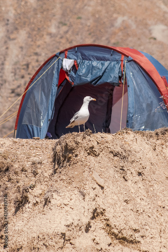 tent on the beach