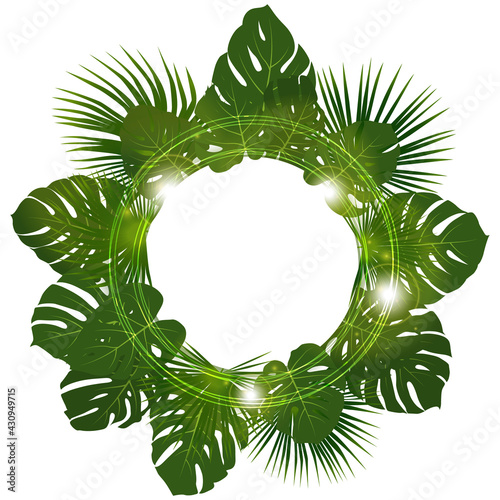 Monstera and washingtonia palm leaf vector frame.