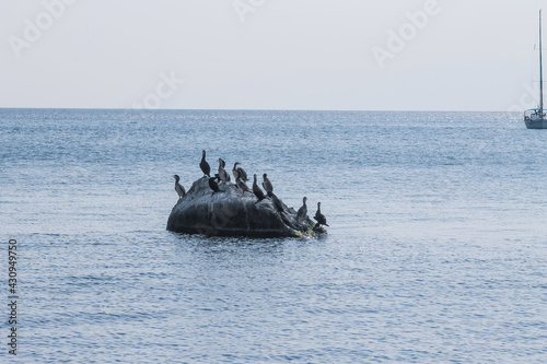 fishing boat in the sea