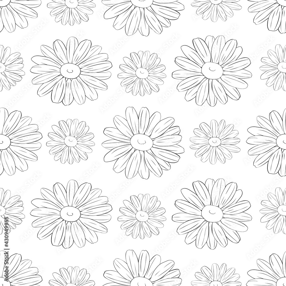 Seamless pattern flowers daisies graphics lines black and white  vector illustration