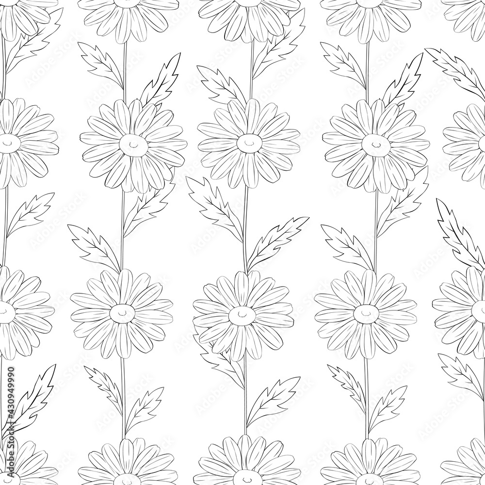 Seamless pattern flowers daisies graphics lines black and white  vector illustration
