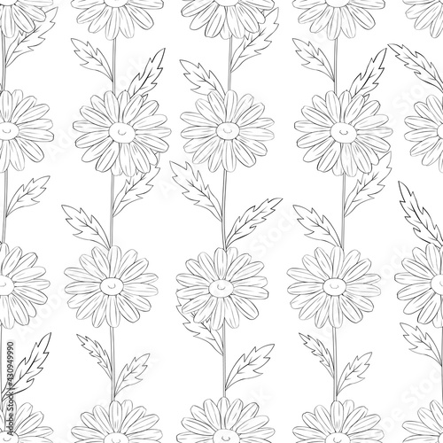 Seamless pattern flowers daisies graphics lines black and white vector illustration