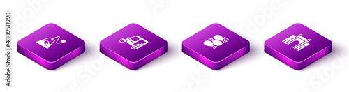 Set Isometric Tea bag, Taxi tuk tuk, Tandoori chicken and India Gate in Delhi icon. Vector
