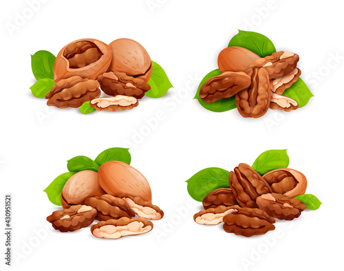 Pecan nut compositions set, side and top view