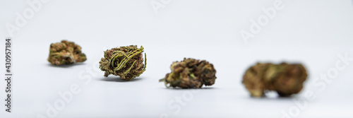 Close up on dried cannabis buds. Dry marijuana buds, weed, CBD, copy space, banner size. 