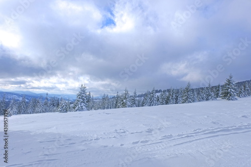 Obraz na płótnie Silesian Beskid in winter. Snow in the mountains. w salonie