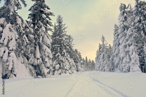 Obraz na płótnie Winter in the mountains, mountain road covered with snow. w salonie