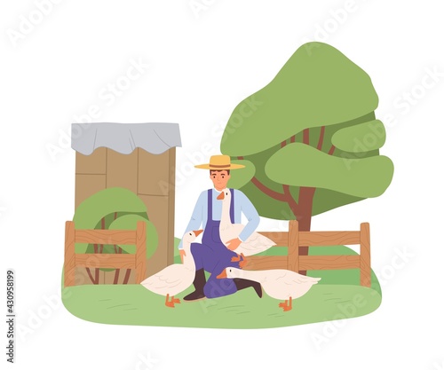 Young farmer with geese on farm. Man and domestic birds on summer yard in village. Person and poultry in countryside. Flat vector illustration isolated on white background