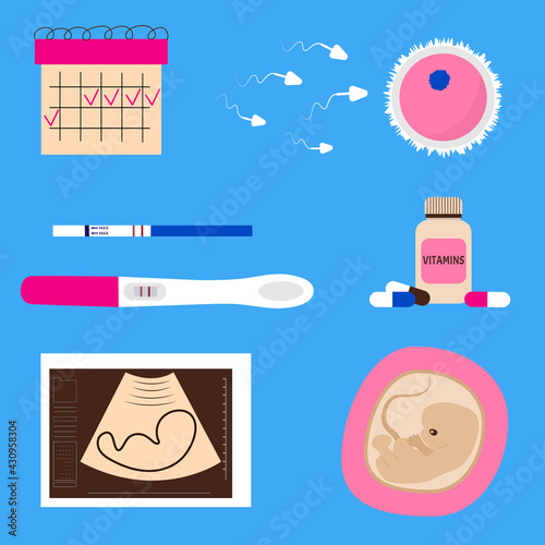 Objects of conception and pregnancy. Flat design icons vector collection of gynecology. Set for pregnant women. Can be used for topics like medicine, gynecology, health, pregnancy. Cell, life, reprodu