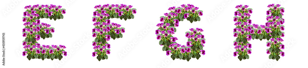 The letters E, F, G, H are made of purple flowers and leaves The letters E, F, G, H are made of purple flowers and leaves