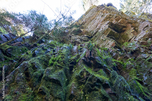 impressive steep moss covered rocks with trees and roots at the burgbach waterfall photo