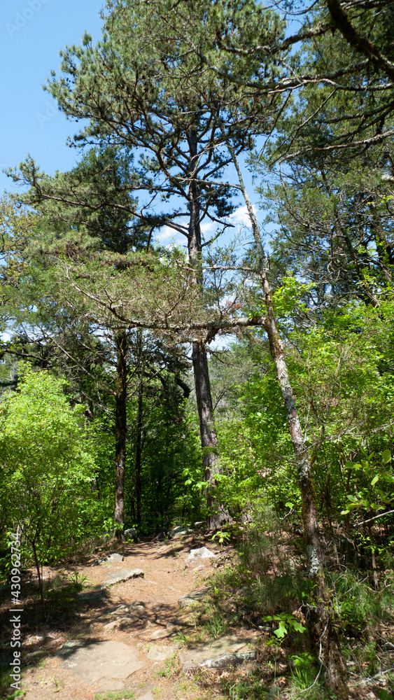 Fototapeta premium Crack in the rock trail, Van Buren, Arkansas